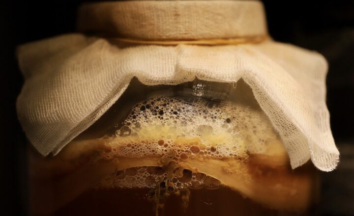 The Ultimate Guide to Fermented Foods and Their Health Benefits