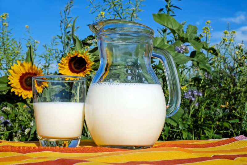 A Beginner’s Guide to Making Your Own Nut Milks A Beginner’s Guide to Making Your Own Nut Milks