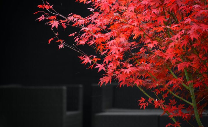 10 Comfort Food Recipes That Are Perfect for Cozy Nights In