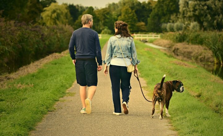 Dog Walking for Cash: A Simple Side Job for Animal Lovers