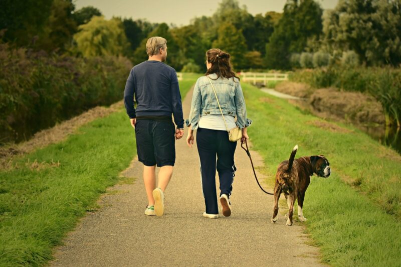 Dog Walking for Cash: A Simple Side Job for Animal Lovers Dog Walking for Cash: A Simple Side Job for Animal Lovers