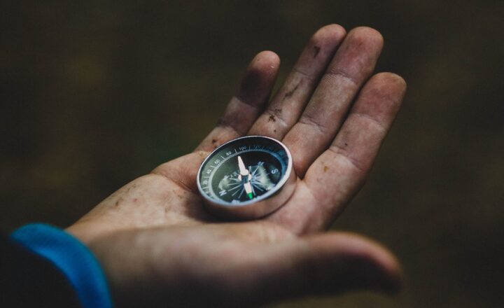 The Role of Art Direction in Creating Believable Game Worlds