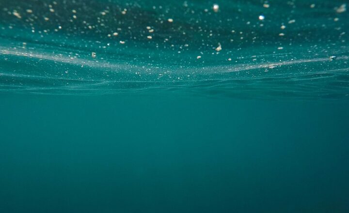 The Art of Spearfishing and How It’s Practiced in Different Cultures