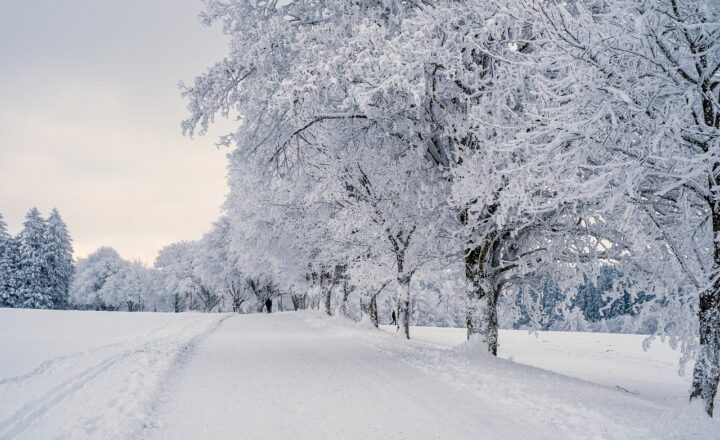 How to Keep Your Car Safe in Extreme Weather: Tips for Every Season