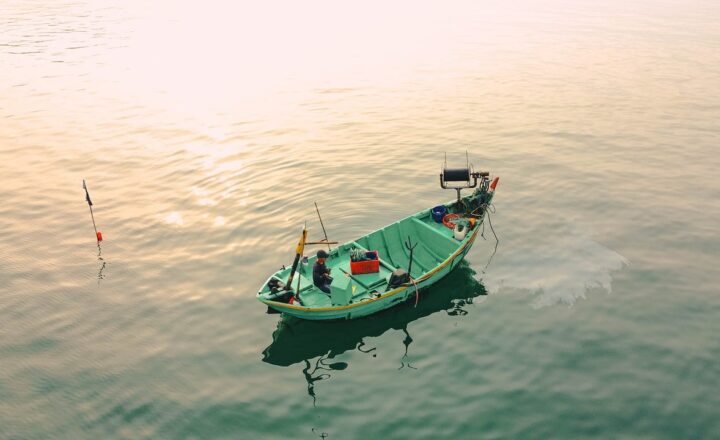A Look Inside Japan’s Fascinating World of Commercial Fishing
