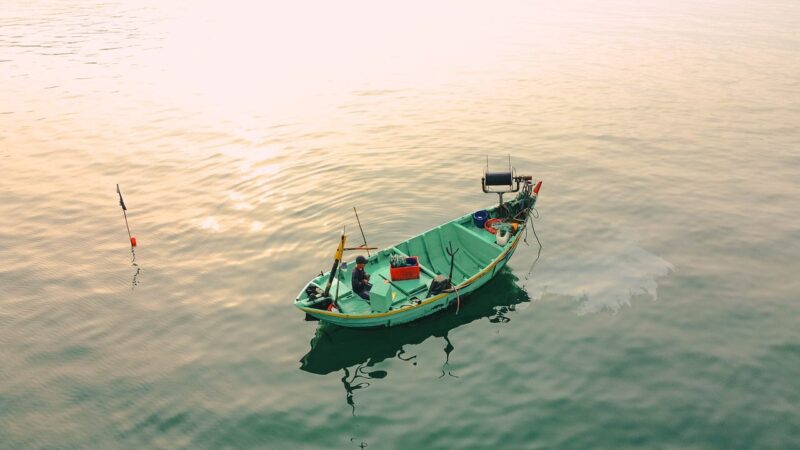 A Look Inside Japan’s Fascinating World of Commercial Fishing