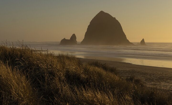 The History of Cannons: How These Weapons Shaped World Empires