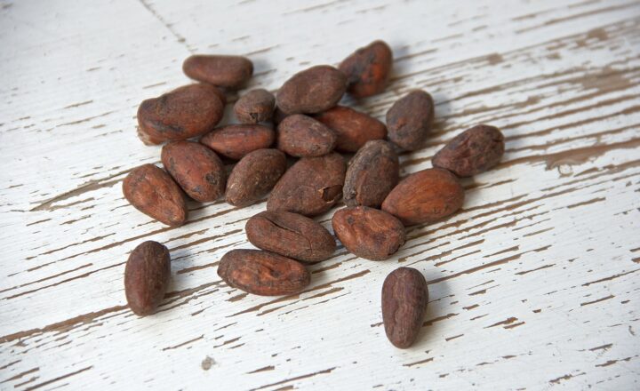 How Dark, Milk, and White Chocolate Are Each Made from Cocoa Beans