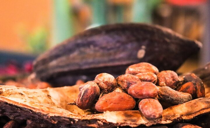 How Chocolate Origin and Cacao Percentages Affect the Overall Flavor