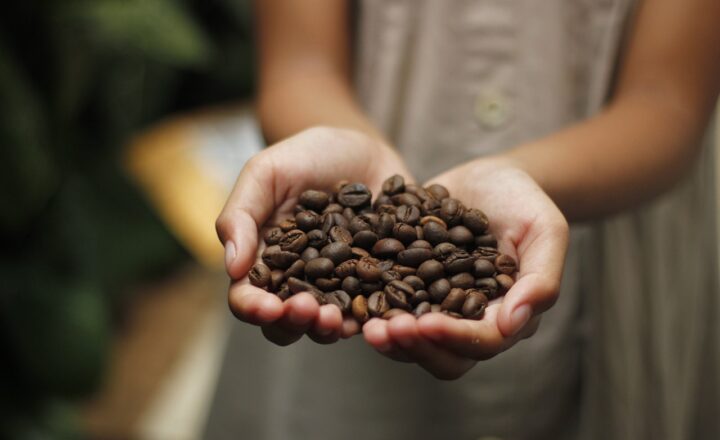 The World of Flavored Coffee Beans: From Hazelnut to Vanilla