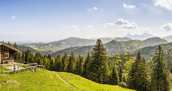 The Impact of Forests and Plant Life on Earth’s Air Quality and Climate