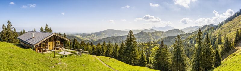 The Impact of Forests and Plant Life on Earth’s Air Quality and Climate The Impact of Forests and Plant Life on Earth’s Air Quality and Climate