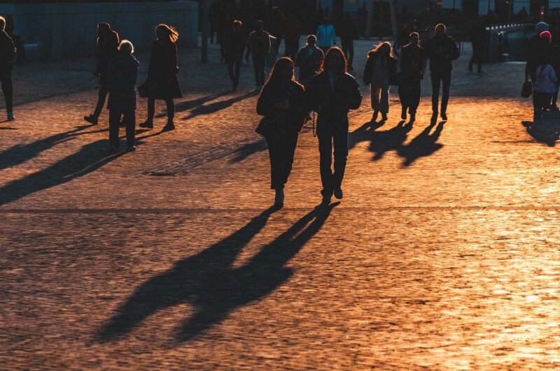 The Science of Urban Green Spaces and How Plants Improve City Life The Science of Urban Green Spaces and How Plants Improve City Life