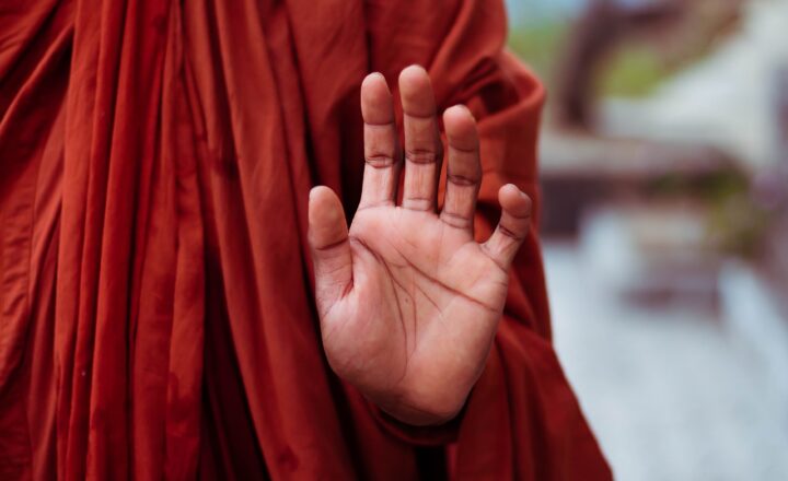 The Ways in Which Plants Can Heal Us and Their Power in Natural Medicine