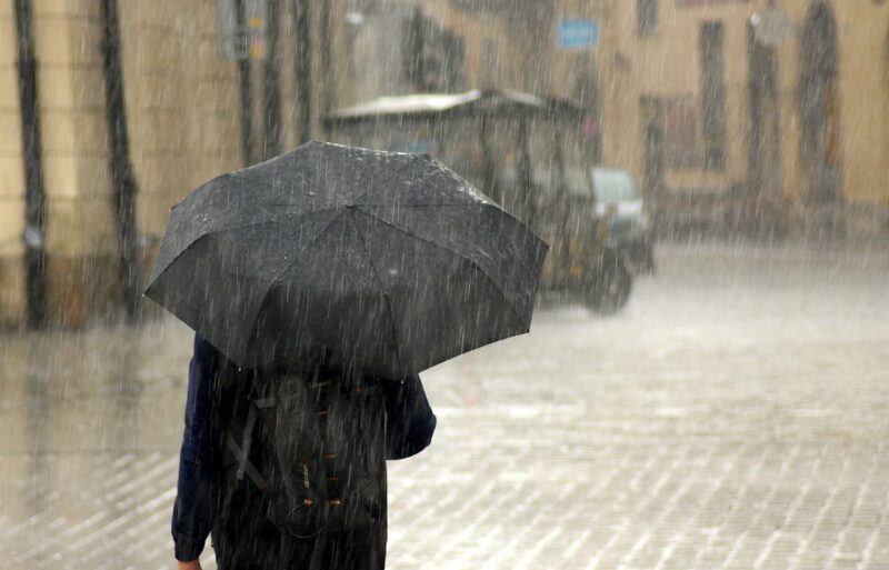 The Impact of Global Rainfall Patterns on Ecosystems and Biodiversity The Impact of Global Rainfall Patterns on Ecosystems and Biodiversity