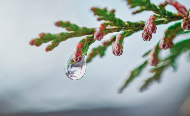 How Raindrops Get Their Shape and What It Tells Us About Air Resistance