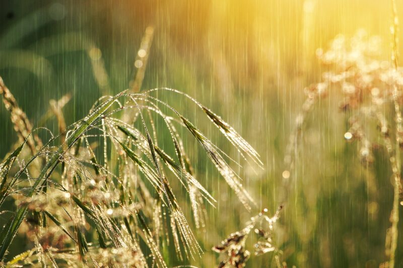 How Rainfall Measurements Guide Farmers and Water Resource Managers How Rainfall Measurements Guide Farmers and Water Resource Managers