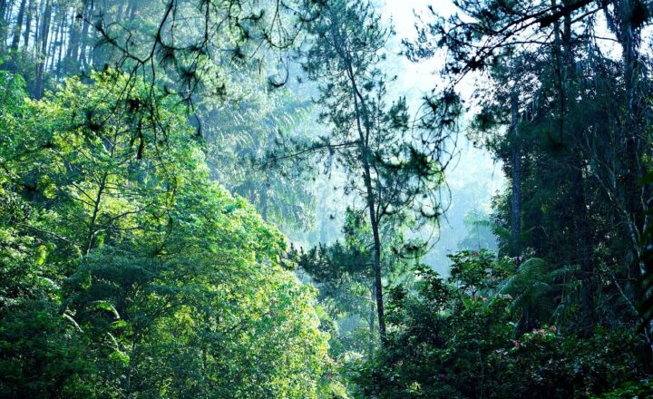 How We Measure the Intensity of Sunshine and Its Impact on the Environment