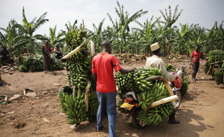 The Story Behind Why Measurement Standards Became Necessary in Trade