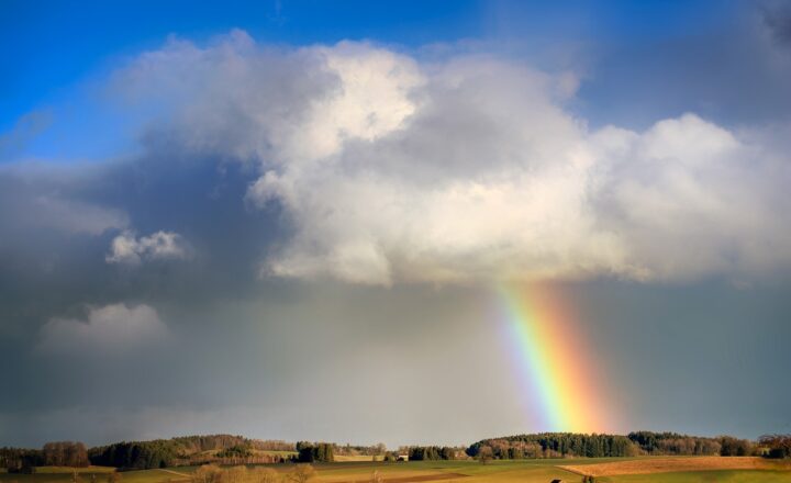 The Science of Rainbows: Why We See Them and the Colors They Show
