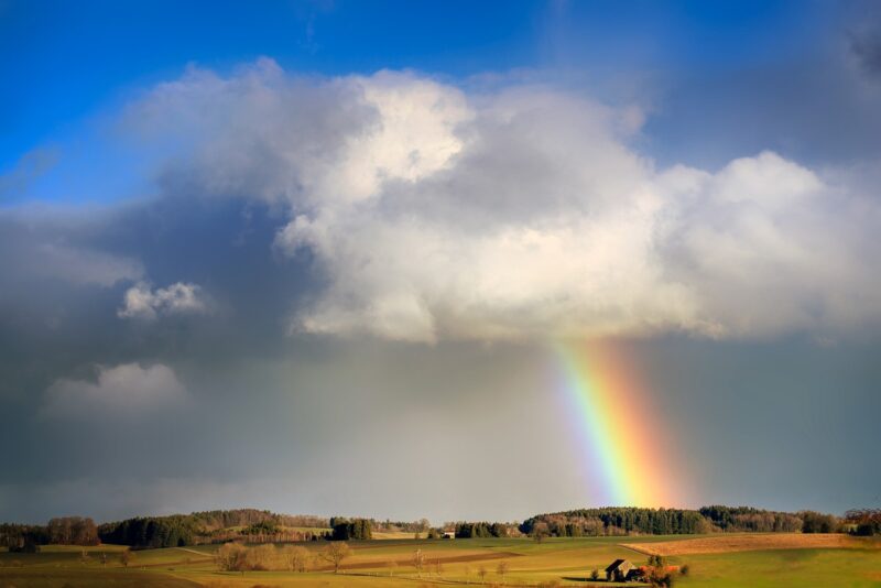 The Science of Rainbows: Why We See Them and the Colors They Show