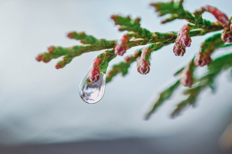 The Journey of a Raindrop: From Cloud to Ground and Beyond The Journey of a Raindrop: From Cloud to Ground and Beyond