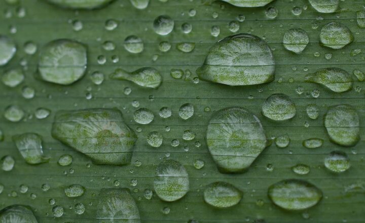 How Rain Forms: The Journey from Evaporation to the First Drop on Earth