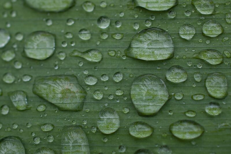 How Rain Forms: The Journey from Evaporation to the First Drop on Earth How Rain Forms: The Journey from Evaporation to the First Drop on Earth
