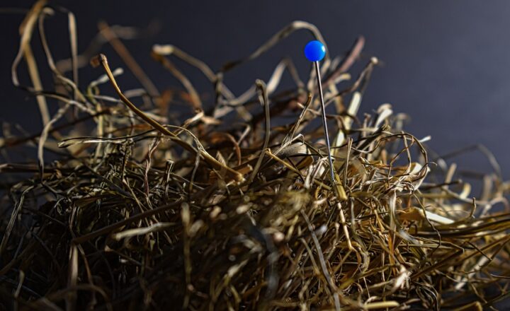 The Most Common English Idioms and How to Use Them Like a Native