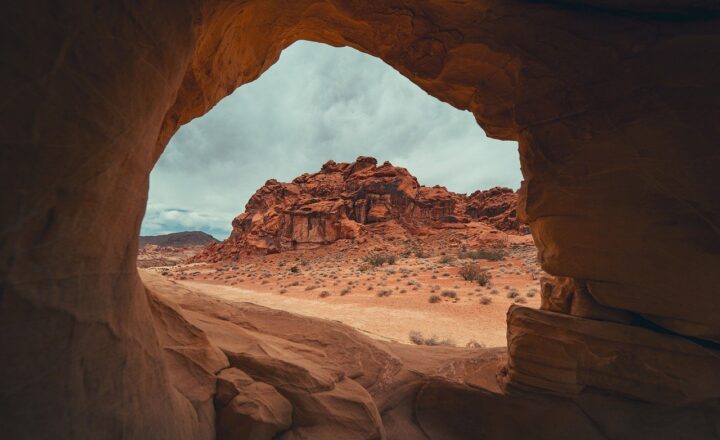 The Evolution of Artistic Expression: How Creativity Developed in Humans