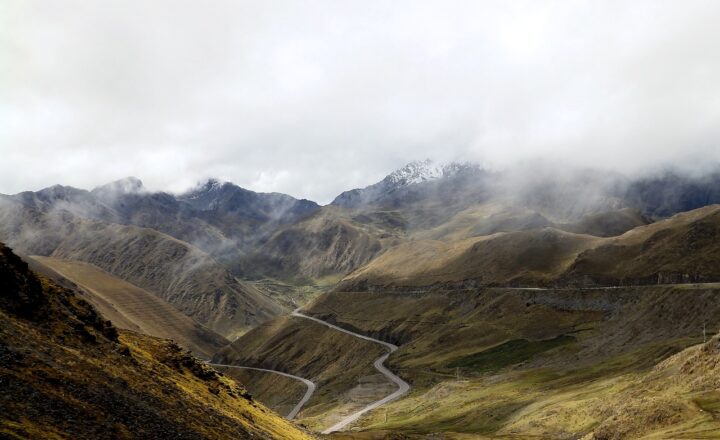 The Theory of Evolution as Explained Through the Fossil Record