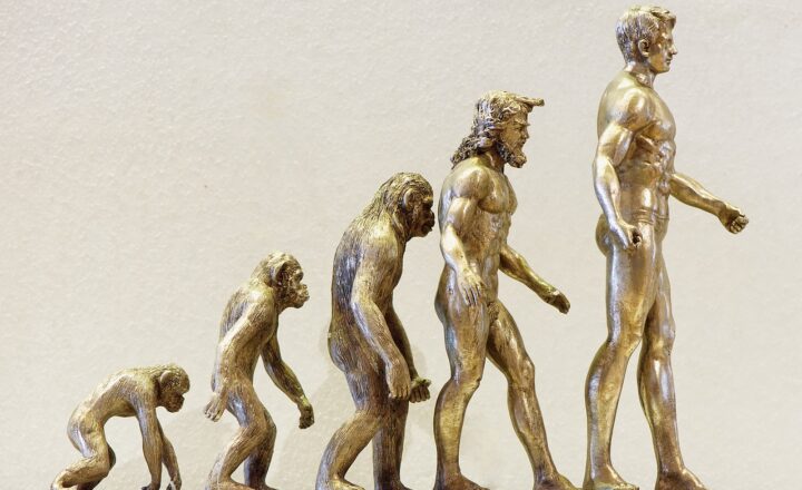 Why Certain Species Evolve to Become More Complex While Others Stay Simple