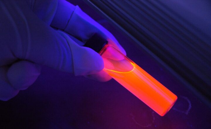 How Mathematics Helps Solve Mysteries in Forensic Science and Criminal Investigations