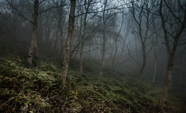 The Mystery of Remote Viewing and People Who Claim to See Faraway Places