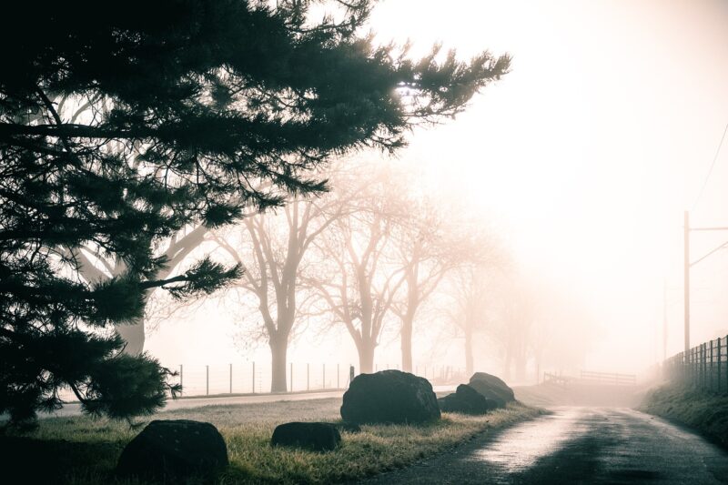 The Most Mysterious Disappearances in History and the Theories Surrounding Them The Most Mysterious Disappearances in History and the Theories Surrounding Them
