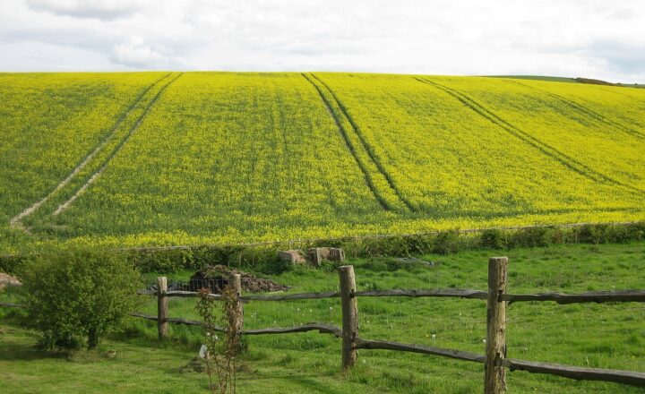 The Power of Setting Boundaries and How They Improve Friendships