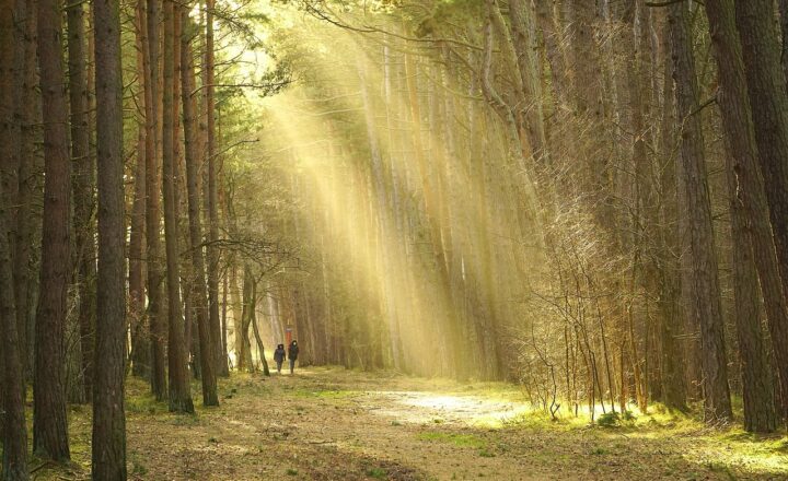 The Influence of The Fresh Prince of Bel-Air on 90s Pop Culture