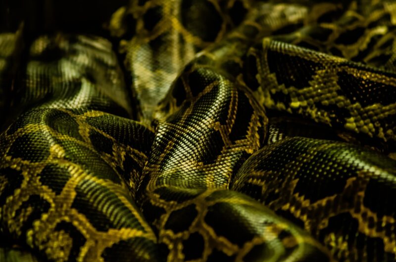Top 10 Python Libraries Every Data Scientist Should Know Top 10 Python Libraries Every Data Scientist Should Know