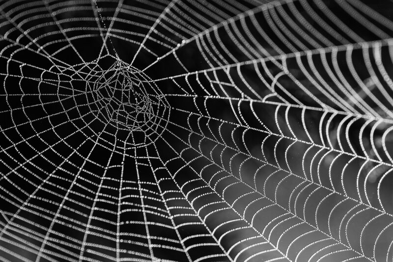How Often Does Google Crawl a Website? Understanding Google’s Crawling Frequency How Often Does Google Crawl a Website? Understanding Google’s Crawling Frequency