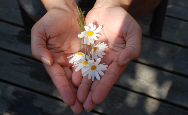 The Power of Genuine Compliments: How to Make Others Feel Special and Build Friendships