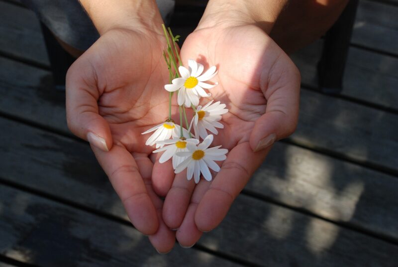 The Power of Genuine Compliments: How to Make Others Feel Special and Build Friendships The Power of Genuine Compliments: How to Make Others Feel Special and Build Friendships