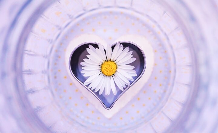 Why Gratitude Makes You More Successful and the Simple Ways to Practice It Daily