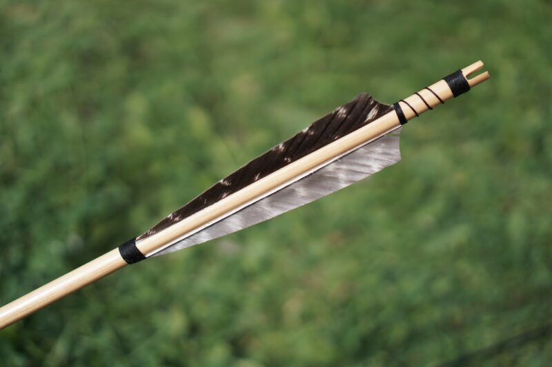 The Physics of Arrows and Why Certain Designs Are Better for Speed and Accuracy The Physics of Arrows and Why Certain Designs Are Better for Speed and Accuracy
