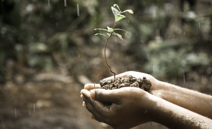 How to Cultivate a Growth Mindset for Success in Life and Work