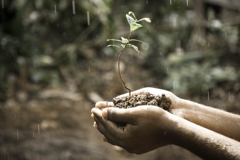 How to Cultivate a Growth Mindset for Success in Life and Work