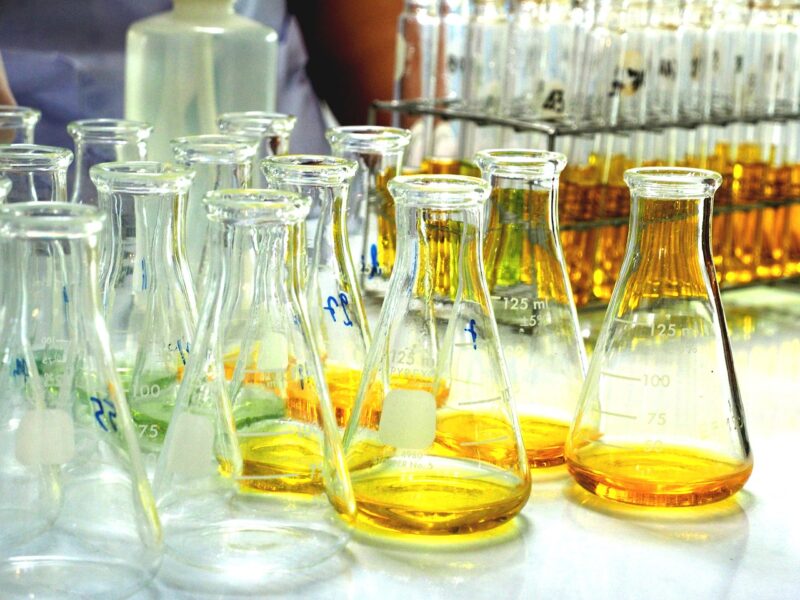 The Role of Women in STEM Fields and How to Encourage More Participation The Role of Women in STEM Fields and How to Encourage More Participation