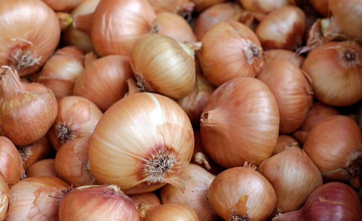 The Benefits of Adding More Plant-Based Foods to Your Diet