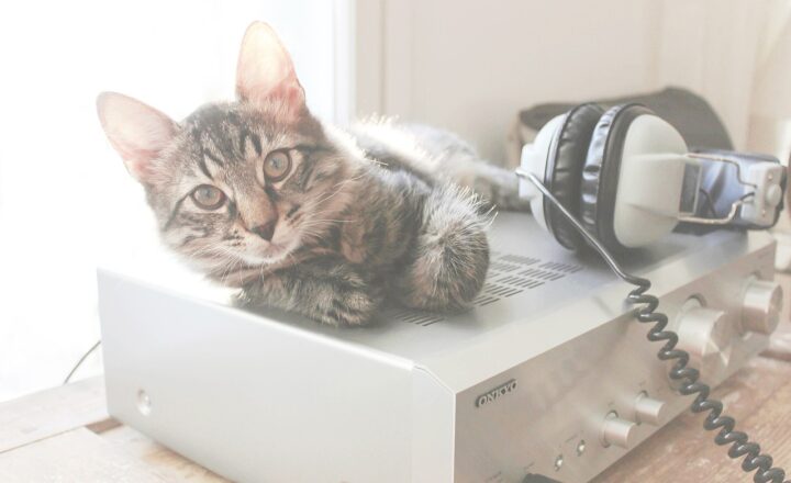 The Role of Amplifiers in Sound Quality: How to Choose the Right One for Your Setup