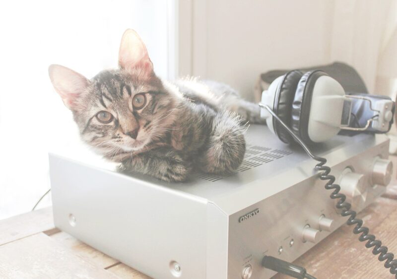 The Role of Amplifiers in Sound Quality: How to Choose the Right One for Your Setup The Role of Amplifiers in Sound Quality: How to Choose the Right One for Your Setup