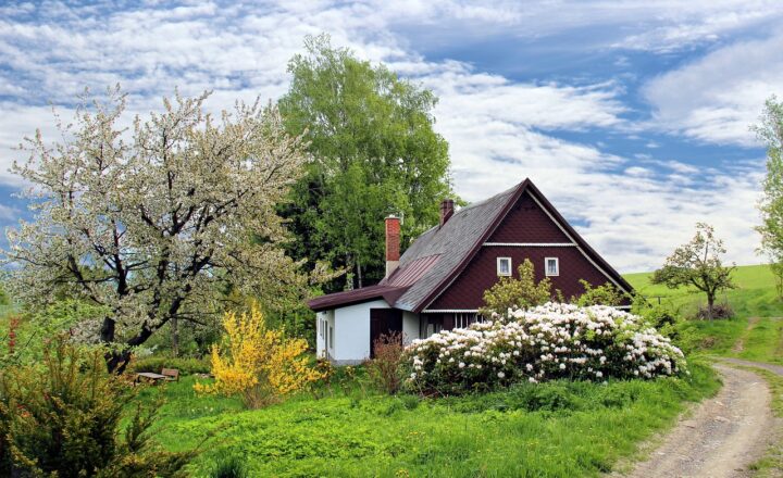 How Cottagecore Became an Internet Phenomenon and Lifestyle Trend